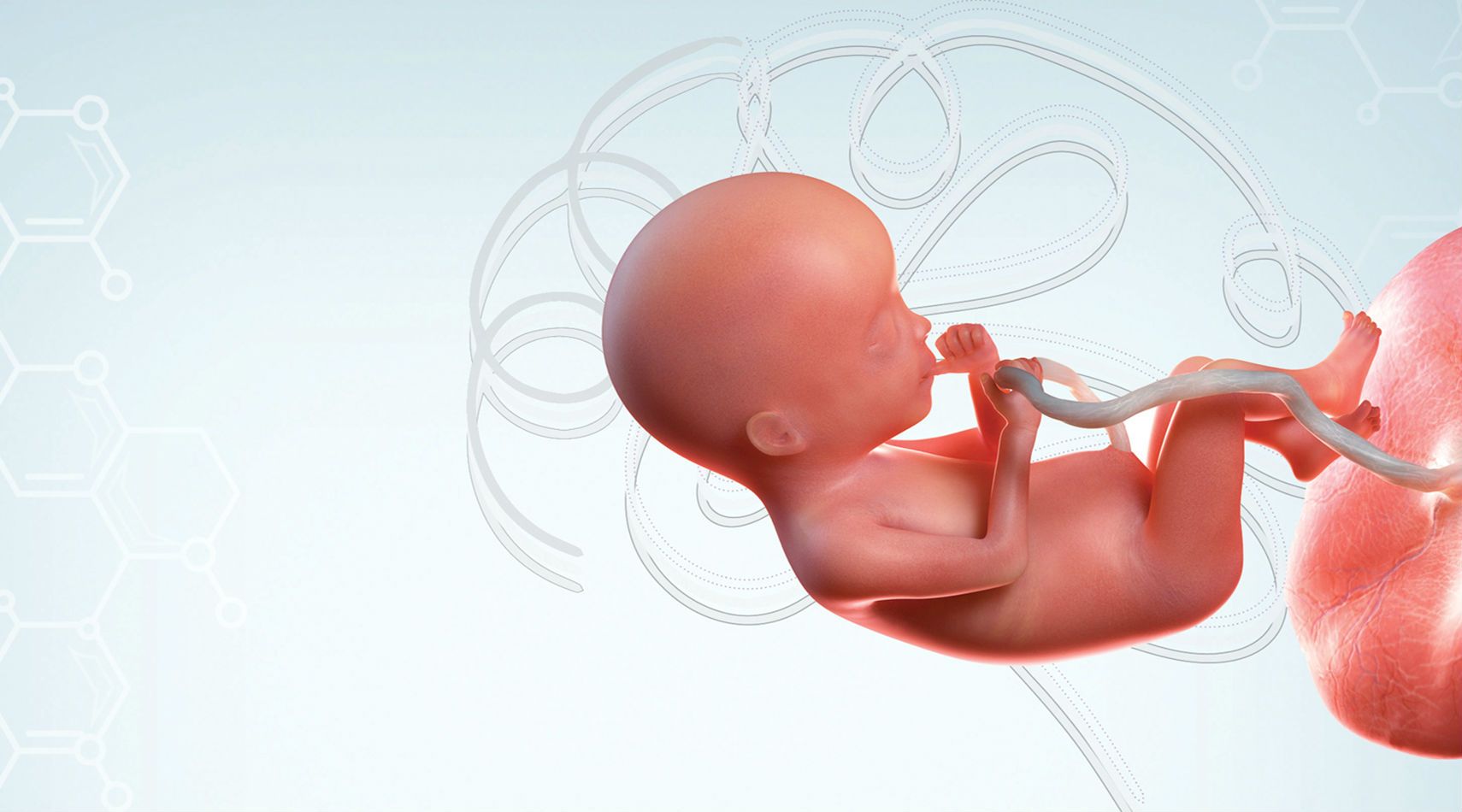 Do Babies Like Spicy Food In The Womb